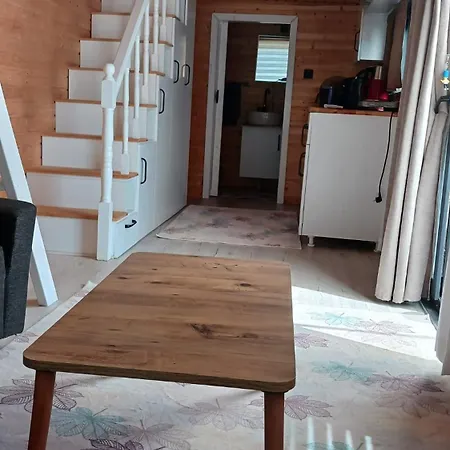 Kaktues Tiny House Bed & Breakfast