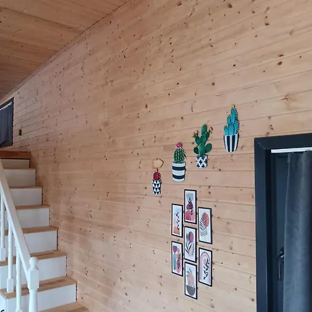 Kaktues Tiny House * Derekoy (Dalaman)