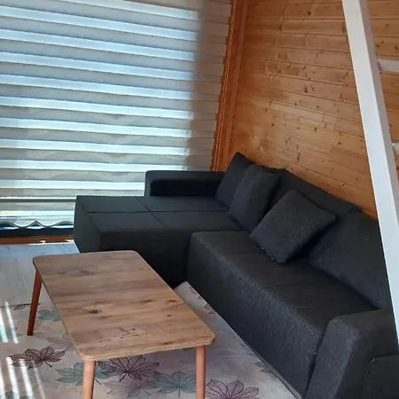Kaktues Tiny House *